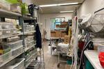 Gewerbeobjekt Wendeburg - 670&euro; | Angebot:23743550