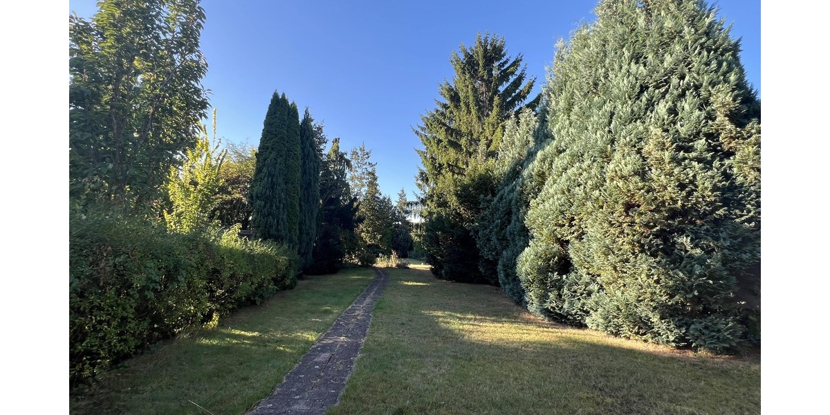 Viel Freiraum für Ihre Ideen - Mehrfamilienhaus, Wohnhaus Hildesheim Himmelsthür | Angebot:25646005