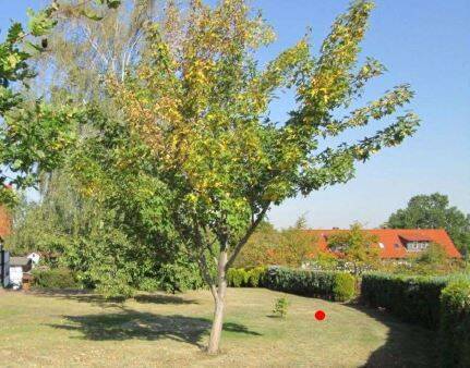 Grundstück Goslar Weddingen - 6.900&euro; | Angebot:25730497