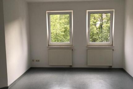 Wohnung Braunschweig Lehndorf-Watenbüttel - 1 Zimmer, 27 m&sup2;, 319&euro; | Angebot:25571861