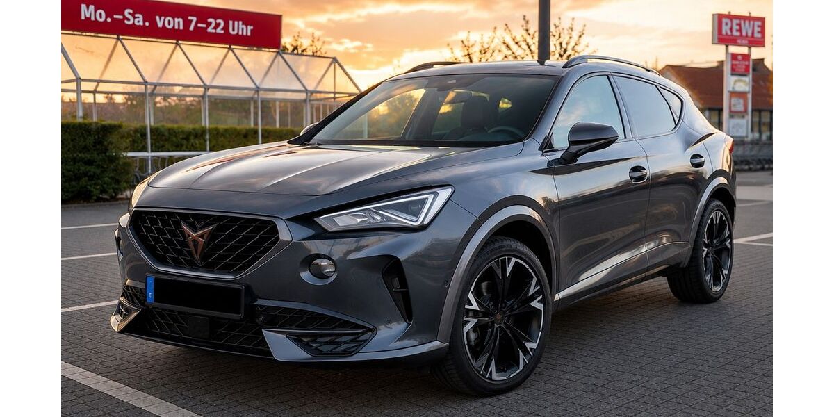 Cupra Formentor 124.000 km 20.200 &euro; Salzgitter 38226
