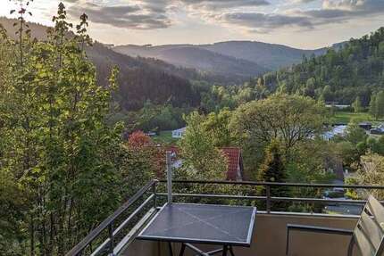 Wohnung Langelsheim / Lautenthal Lautenthal - 2 Zimmer, 59 m&sup2;, 55.000&euro; | Angebot:24525174