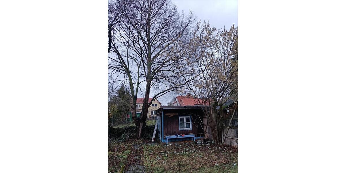 Einfamilienhaus Bockenem - 30.000&euro; | Angebot:24712879