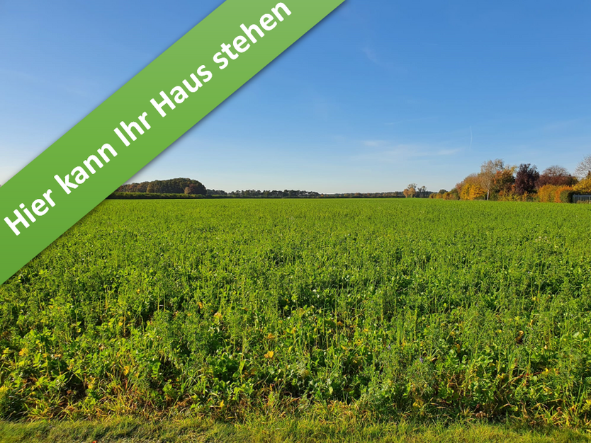 Haus zum Kaufen in Volkse 317.850 € 124 m²