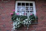 Dachgeschoßwohnung Braunschweig Südstadt- Rautheim- Mascherode - 3 Zimmer, 74 m&sup2;, 600&euro; | Angebot:26399675
