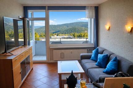 Wohnung Goslar OS Hahnenklee-Bockswiese - 3 Zimmer, 49 m&sup2;, 45.000&euro; | Angebot:26285764