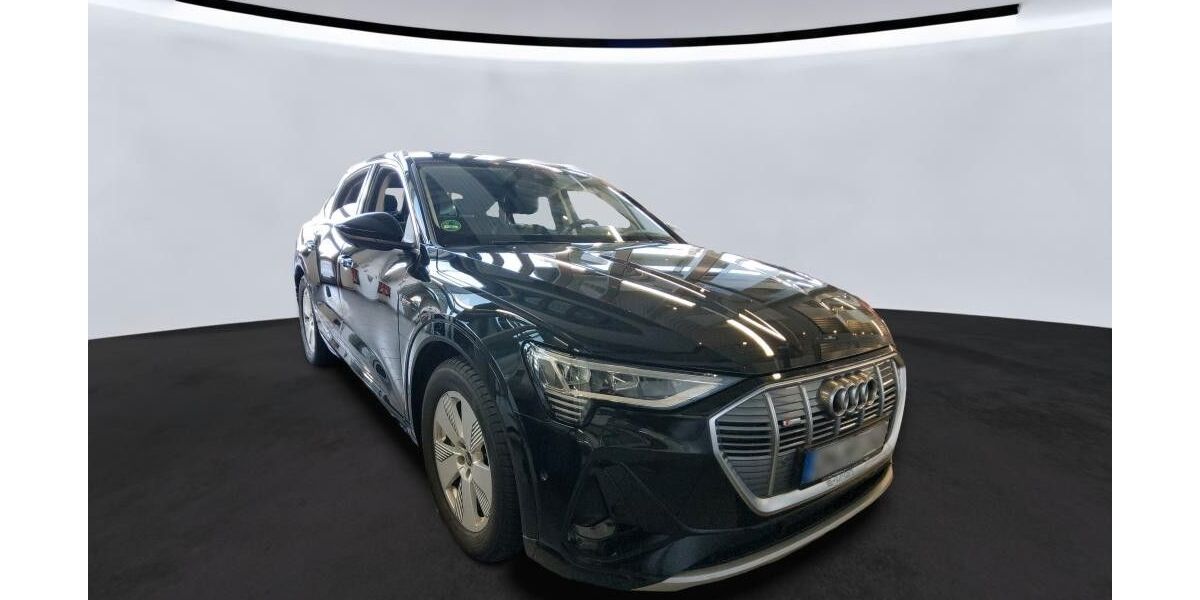 Audi e-tron 61.100 km 39.950 &euro; Salzgitter 38259