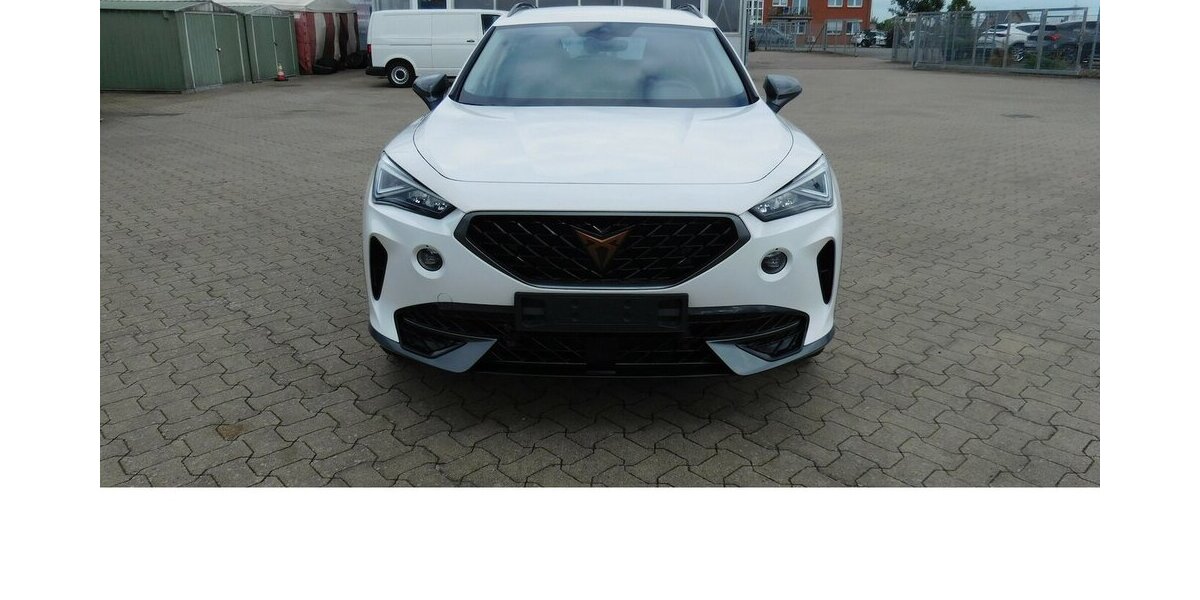 Cupra Formentor 1.5 TSI BMT Klima LED Alu 22.200 km 20.990 € Vordorf 38533
