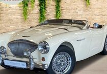 Austin Healey Andere
