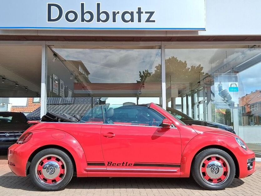 Beetle