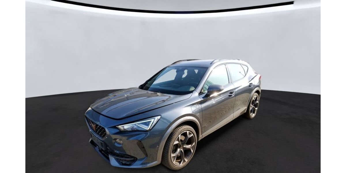 Cupra Formentor 62.500 km 24.890 &euro; Braunschweig 38114