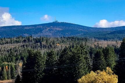 Wohnung Goslar OS Hahnenklee-Bockswiese - 3 Zimmer, 39 m&sup2;, 36.000&euro; | Angebot:25987895