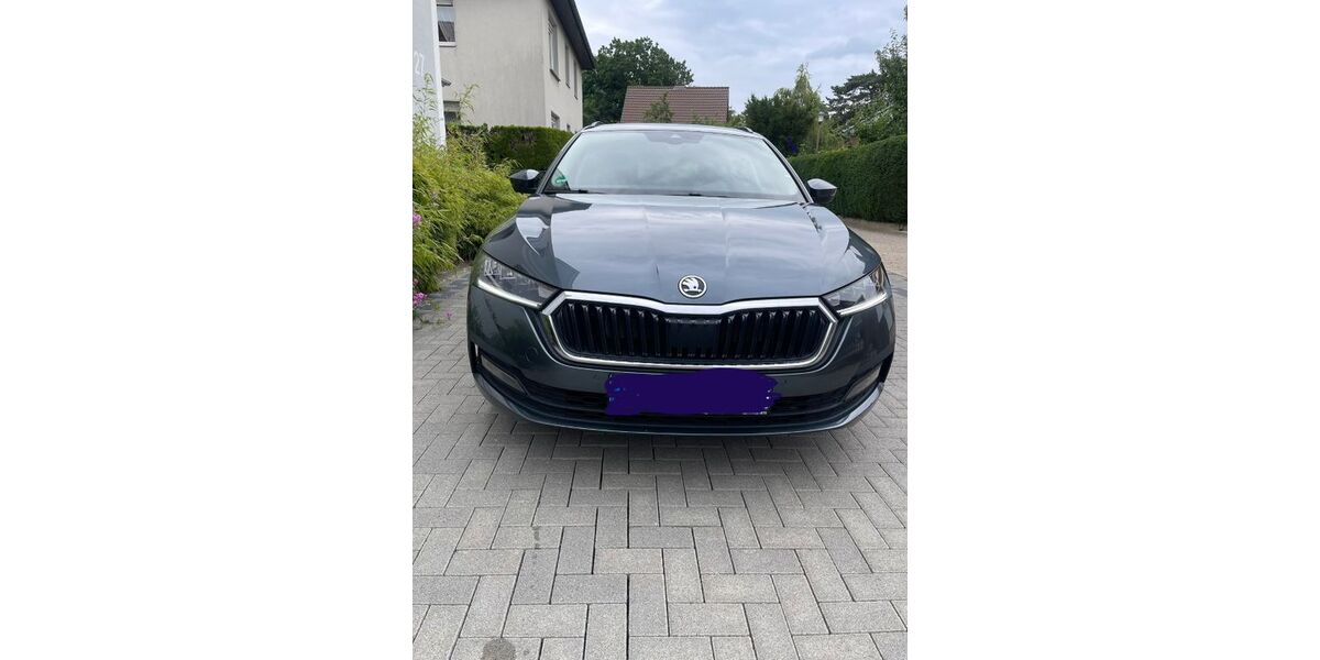 Skoda Octavia 55.000 km 17.800 &euro; Peine 31224