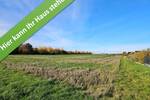 Bungalow Peine Schmedenstedt - 6 Zimmer, 130 m&sup2;, 371.290&euro; | Angebot:26672688