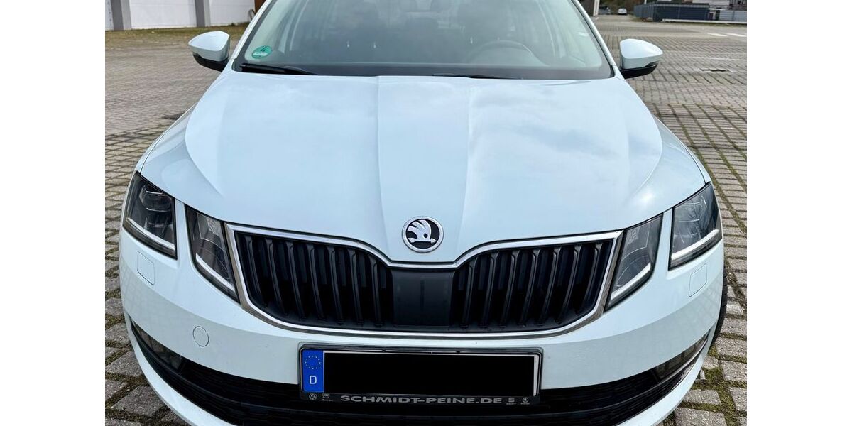 Skoda Octavia 176.105 km 10.500 &euro; Salzgitter 38228