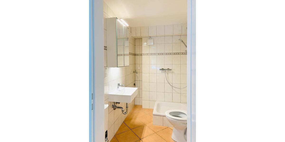 40qm Wohnung in stilvollen Villa barrierefrei renoviert 38228 1.5 zimmer