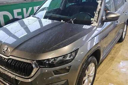 Skoda Kodiaq 117.800 km 23.990 &euro; Peine 31228