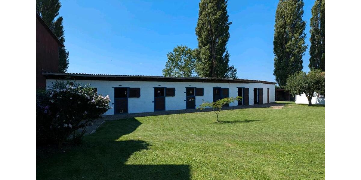 Mehrfamilienhaus, Wohnhaus Salzgitter Ortschaft Nord - 5 Zimmer, 5 m&sup2;, 590.000&euro; | Angebot:26305205