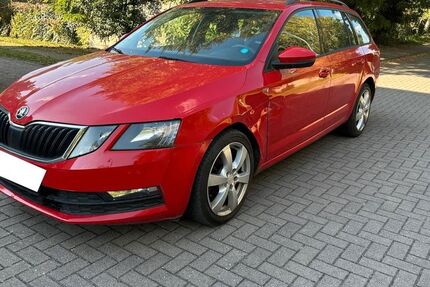 Skoda Octavia 430.000 km 4.700 € Braunschweig 38112
