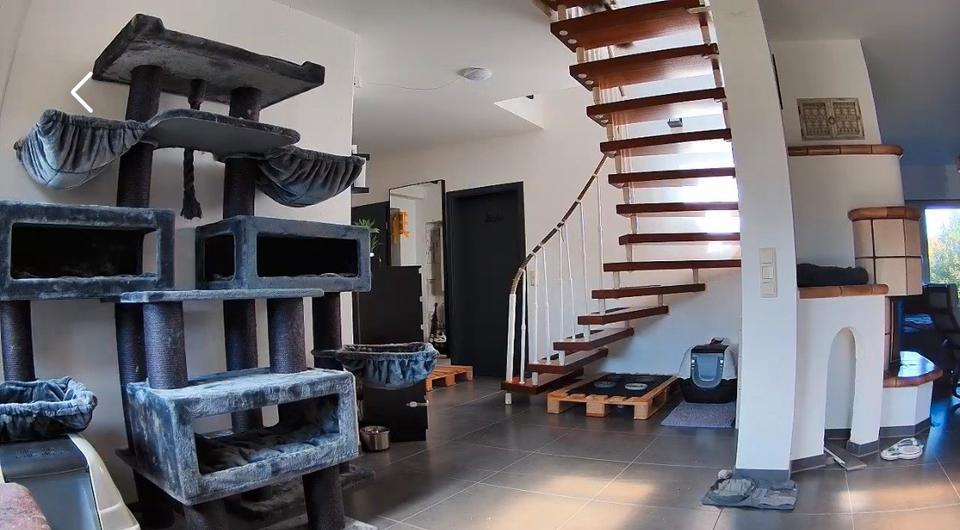 Haus zur Miete 6 zimmer