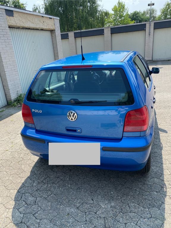 Polo