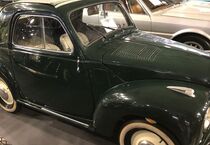 Topolino