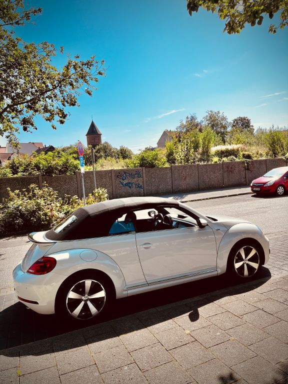Beetle
