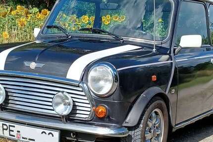 Rover MINI