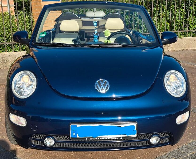 Beetle