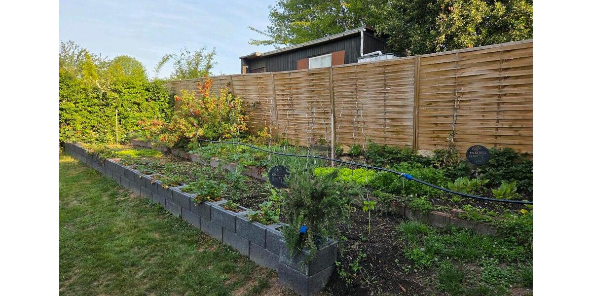 Einfamilienhaus Goslar Jürgenohl - 4 Zimmer, 89 m&sup2;, 295.000&euro; | Angebot:23843125