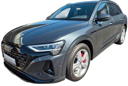 Audi Q8 e-tron 16.700 km 41.990 € Braunschweig 38112