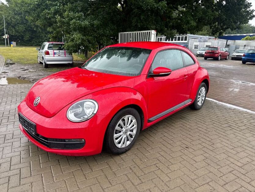 Beetle