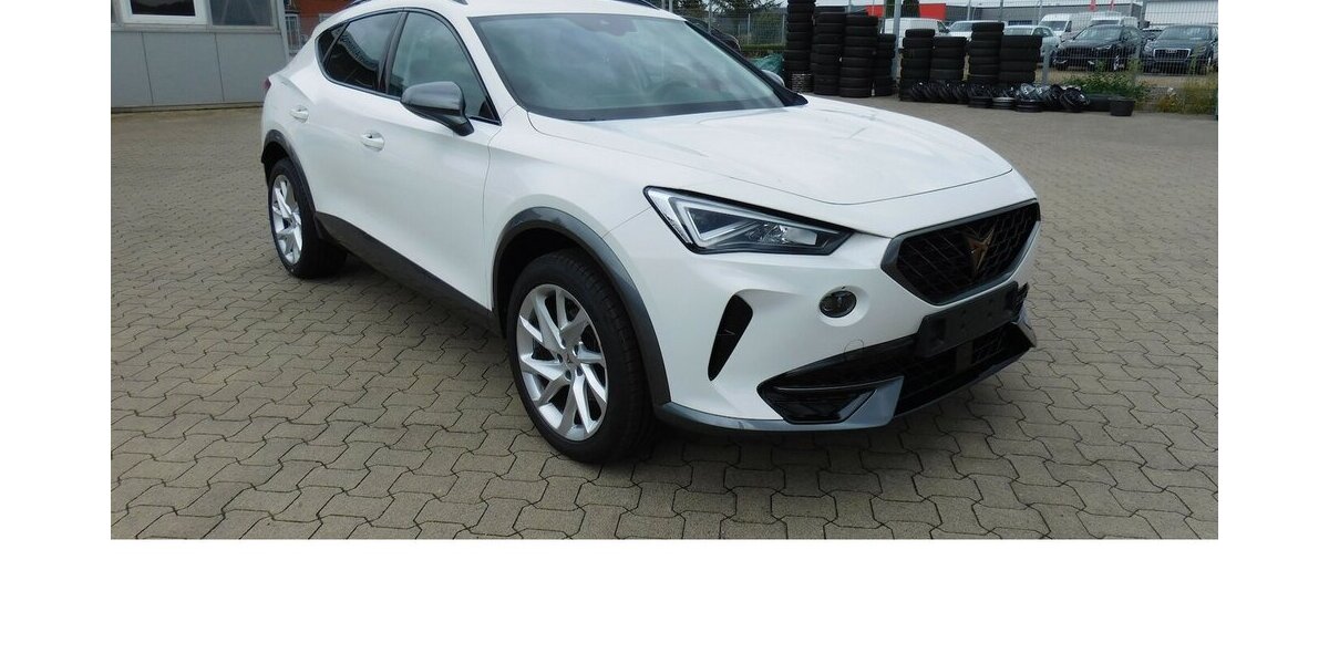 Cupra Formentor 1.5 TSI BMT Klima LED Alu 18.400 km 20.990 &euro; Vordorf 38533