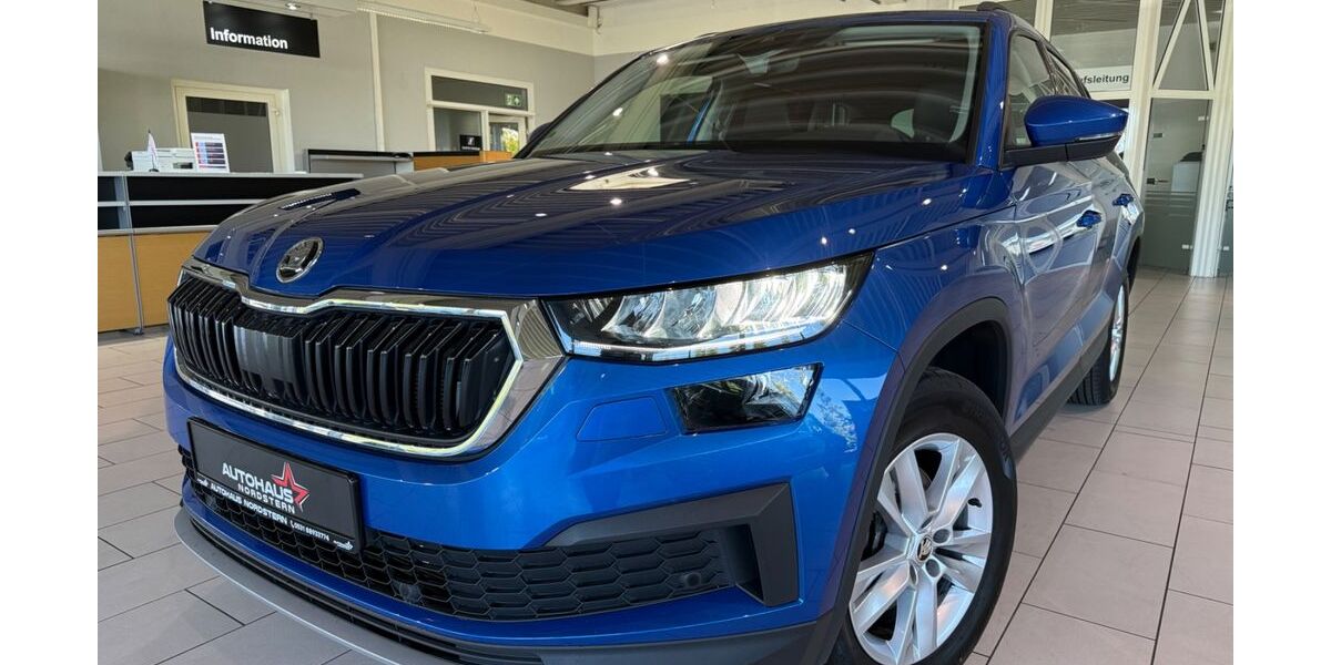 Skoda Kodiaq 47.800 km 31.990 &euro; Braunschweig 38114