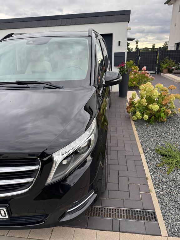 V 250