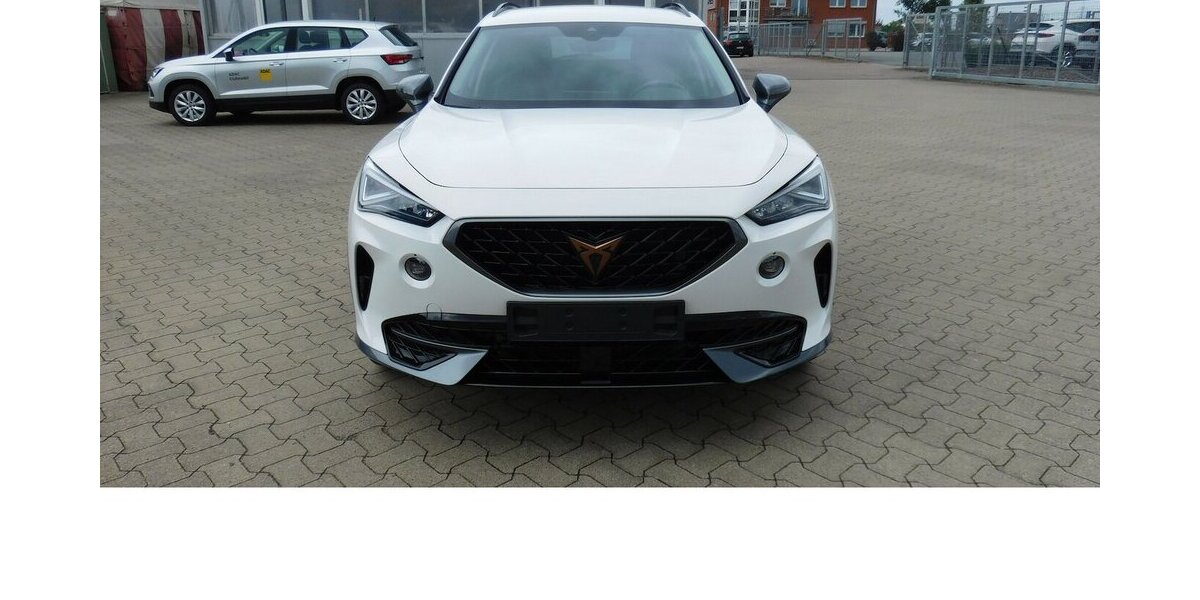 Cupra Formentor 1.5 TSI BMT Klima LED Alu 18.400 km 21.990 € Vordorf 38533