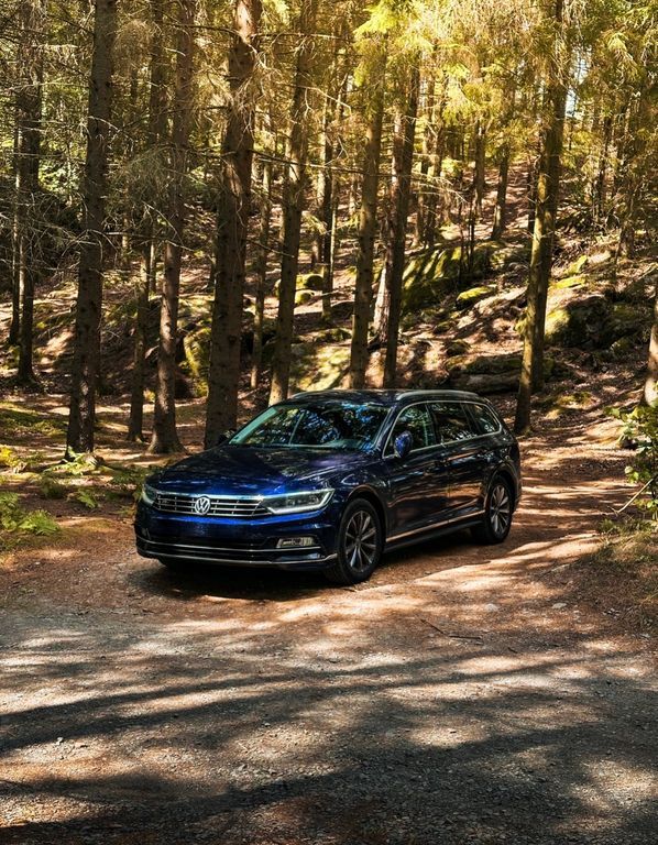 VW Passat 127.000 km 22.000 € Schellerten 31174