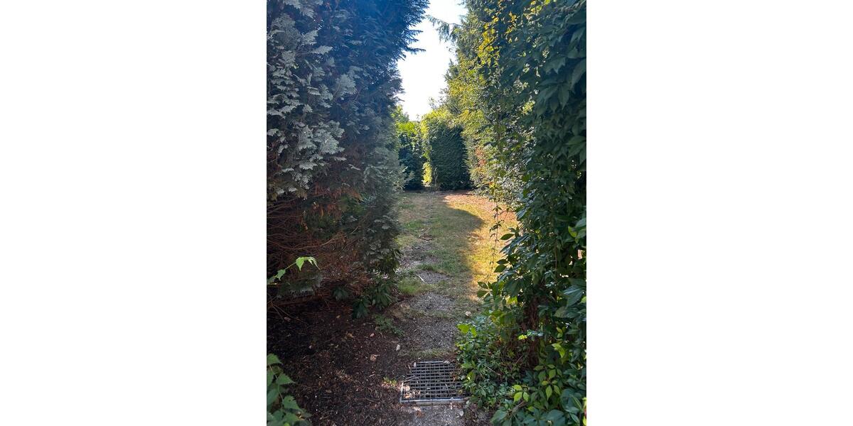 Reihenhaus Braunschweig Westliches Ringgebiet - 350.000&euro; | Angebot:27294184