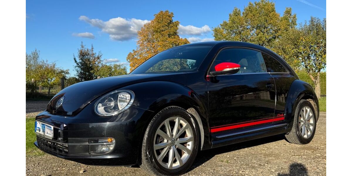 VW Beetle 57.500 km 11.489 € Adenbüttel 38528
