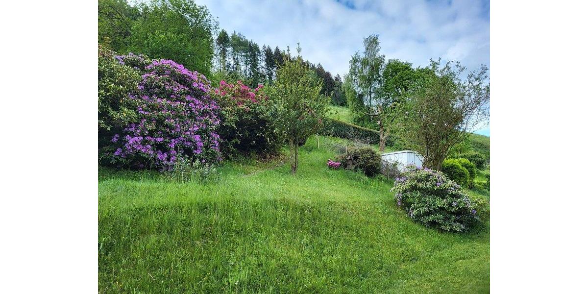 Einfamilienhaus Langelsheim - 7 Zimmer, 274 m&sup2;, 165.000&euro; | Angebot:26292952