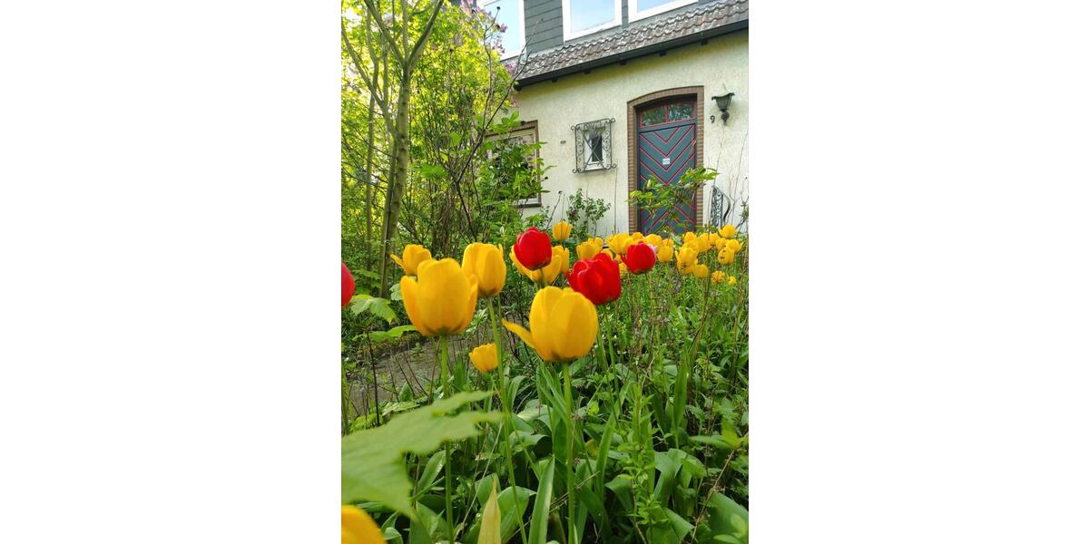 Doppelhaushälfte Salzgitter Ortschaft Ost - 7 Zimmer, 140 m&sup2;, 210.000&euro; | Angebot:25422615