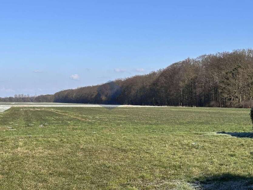 Grundstück zu verkaufen in Bockenem 55.000 € 765 m²