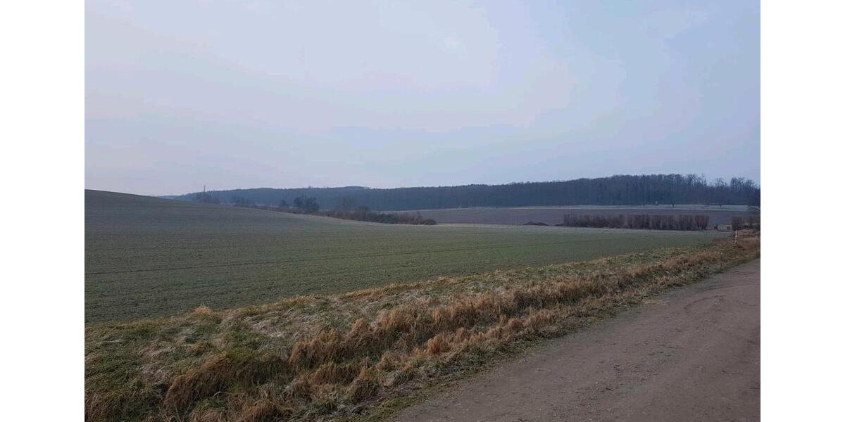 Schöne 3 Zimmer Wohnung in Liebenburg (Einbauküche möglich) 3 zimmer