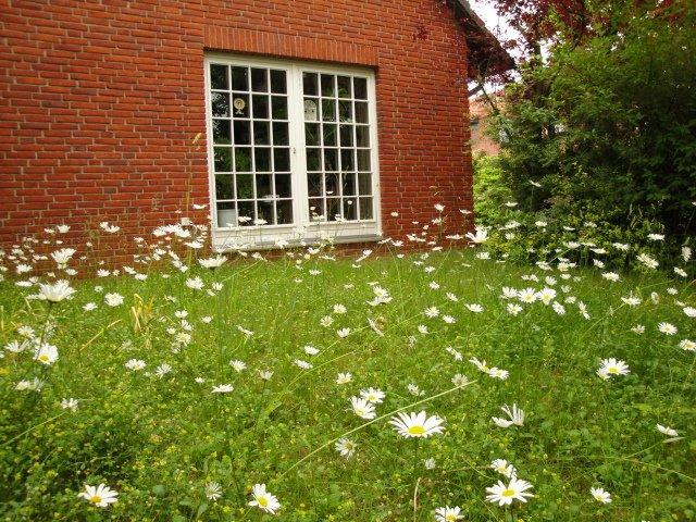 Dachgeschoßwohnung Braunschweig Südstadt- Rautheim- Mascherode - 3 Zimmer, 74 m&sup2;, 600&euro; | Angebot:26399675