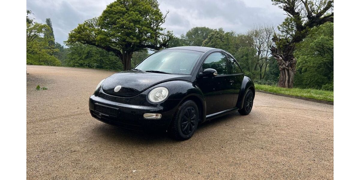 VW Beetle 165.000 km 1.590 &euro; Vechelde 38159