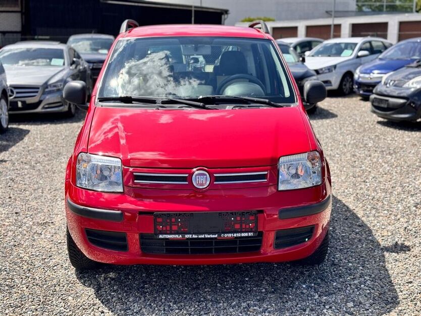 Panda