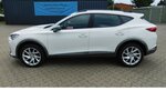 Cupra Formentor 1.5 TSI BMT Klima LED Alu 18.400 km 20.990 &euro; Vordorf 38533