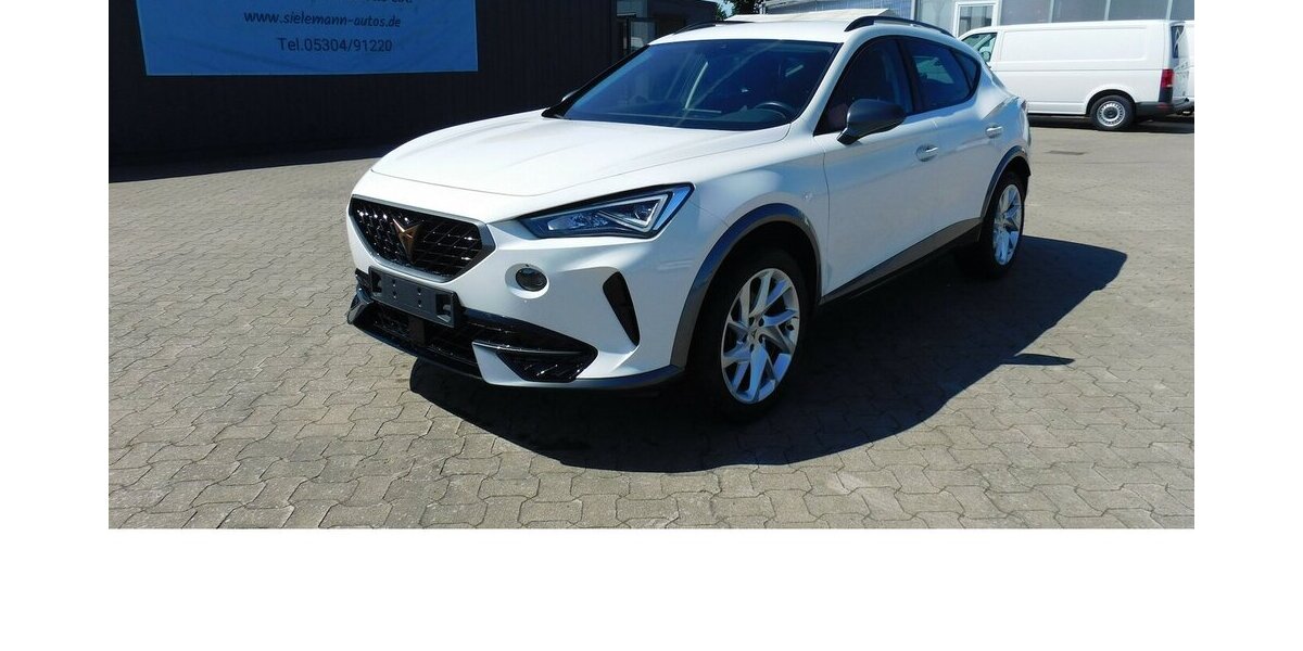 Cupra Formentor 1.5 TSI BMT Klima LED Alu Navi 29.900 km 21.990 &euro; Vordorf 38533