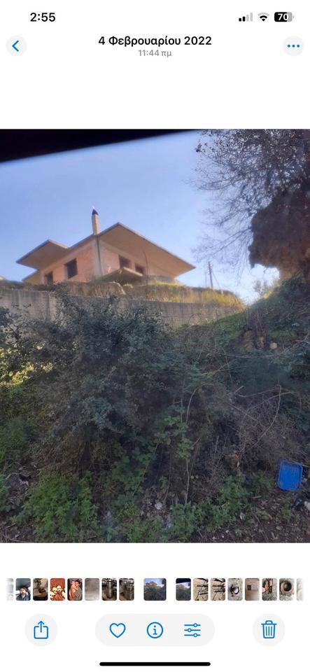 Einfamilienhaus, frei stehend in 1,5 Strema Land