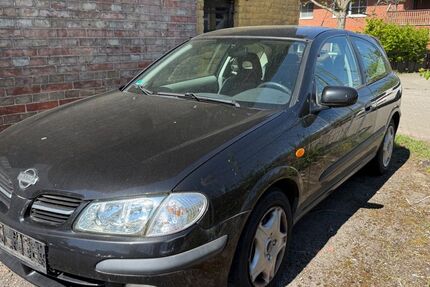 Nissan Almera 178.000 km 1.350 &euro; Wolfenbüttel (Halchter) 38304